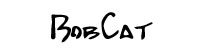 Bobcat